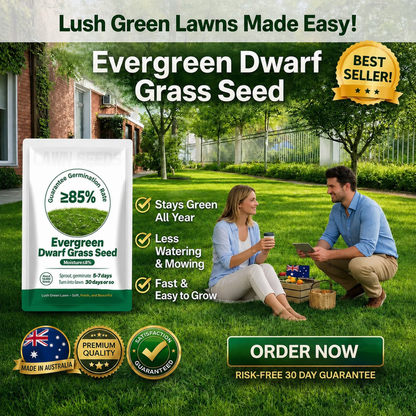 🔥Last Day Promotion 49% OFF🔥💚2026 Evergreen Dwarf Grass Seed for Four Seasons| Durable, Vibrant Green All Year